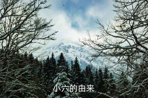 小6，小六有什么特殊意思