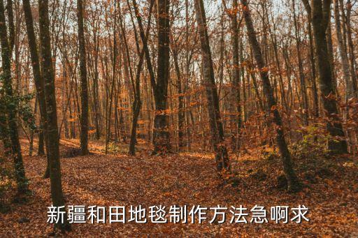 新疆和田地毯制作方法急啊求