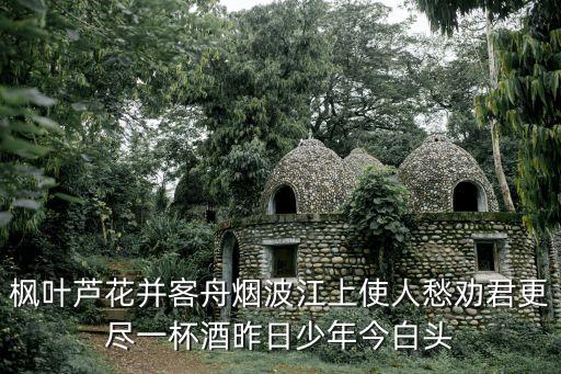 昨日少年，楓葉蘆花并客舟煙波江上使人愁勸君更盡一杯酒昨日少年今白頭