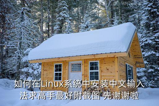 linux輸入法，如何在Linux系統中安裝中文輸入法求高手最好附截圖 先謝謝啦