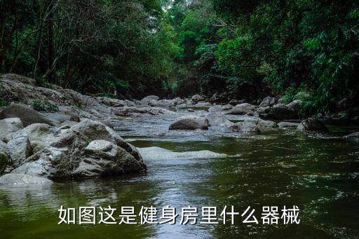十字夾胸，如圖這是健身房里什么器械