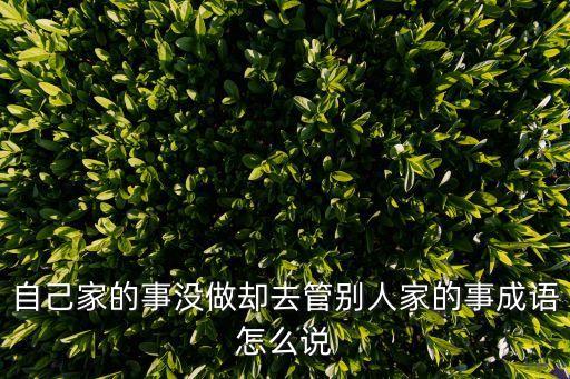 自己家的事沒做卻去管別人家的事成語怎么說