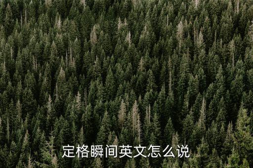 定格瞬間英文怎么說