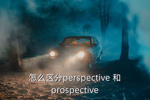 怎么區(qū)分perspective 和prospective