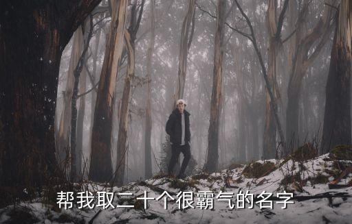 霸氣的名字大全，幫我取二十個很霸氣的名字