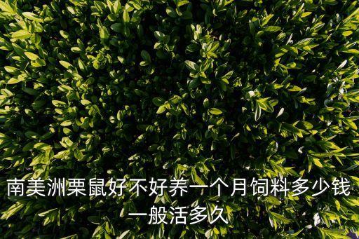 南美洲栗鼠，南美洲栗鼠好不好養(yǎng)一個月飼料多少錢一般活多久