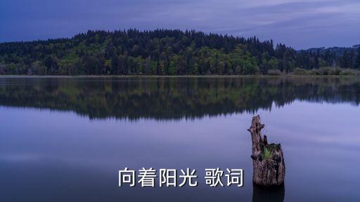 向著陽光 歌詞