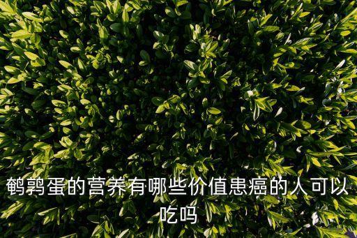鵪鶉蛋的營養有哪些價值患癌的人可以吃嗎