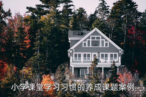 教育案例小學，小學探究型教學設計案例