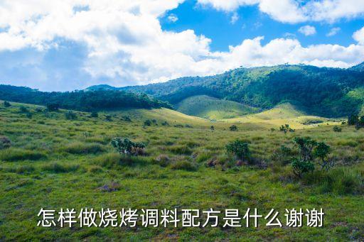 燒烤料怎么配，燒烤的配料怎樣做