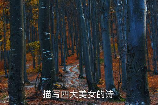 描寫四大美女的詩(shī)