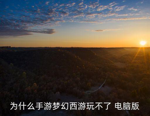為什么手游夢幻西游玩不了 電腦版