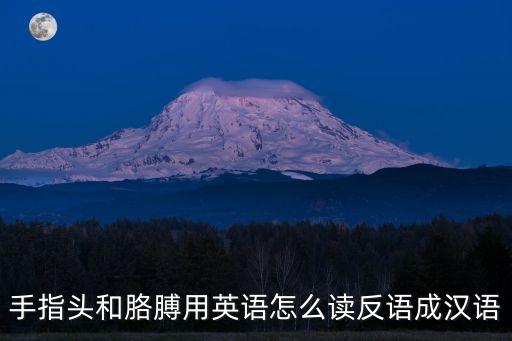 胳膊用英語怎么讀，手指頭和胳膊用英語怎么讀反語成漢語