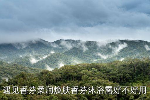 遇見香芬，遇見香芬柔潤煥膚香芬沐浴露好不好用