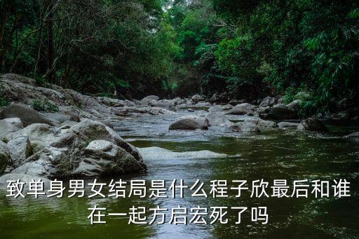 致單身男女，致單身男女結局是什么程子欣最后和誰在一起方啟宏死了嗎