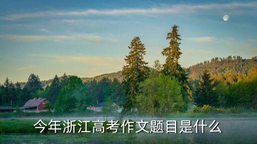 浙江高考作文，浙江高考滿分作文遺失的童真 求點評急