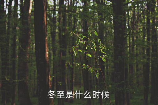 冬至是什么時(shí)候