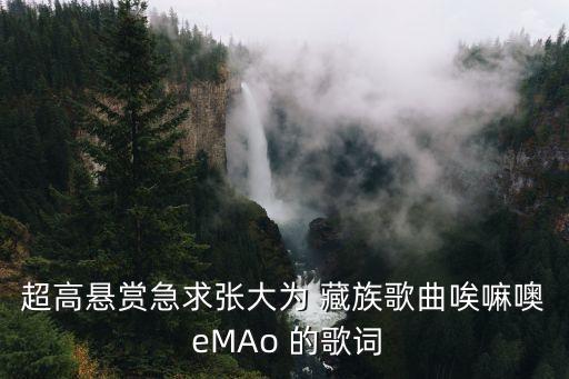 超高懸賞急求張大為 藏族歌曲唉嘛噢 eMAo 的歌詞