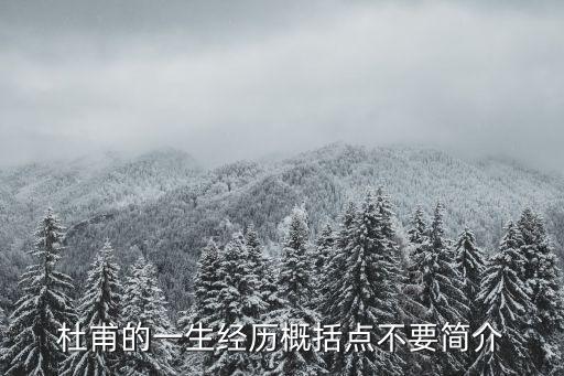 杜甫的一生概括，杜甫簡介不要太長