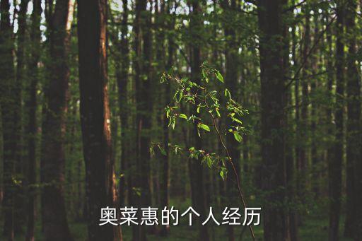 奧菜惠的個人經歷