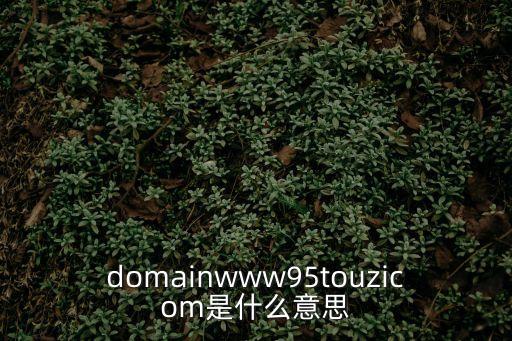 95色吧，95dogcn這個網站怎么樣