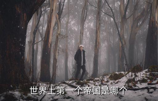 第一帝國，法西蘭第1帝國又叫作甚么