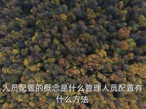 人員配置，山東省施工現場項目專業人員配備標準