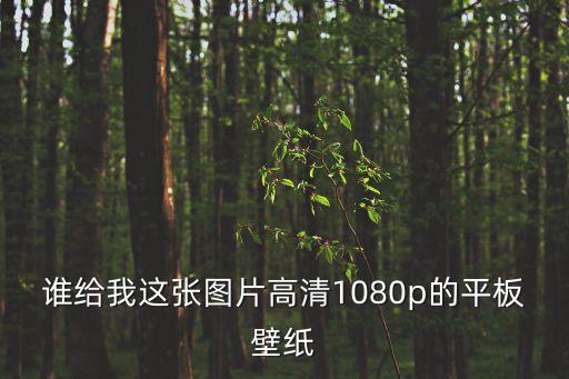 誰給我這張圖片高清1080p的平板壁紙