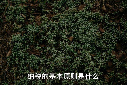 稅法適用原則，納稅的基本原則是什么