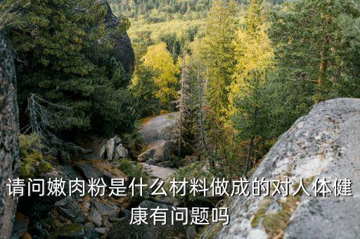 肉粉，隔子肉粉怎么做