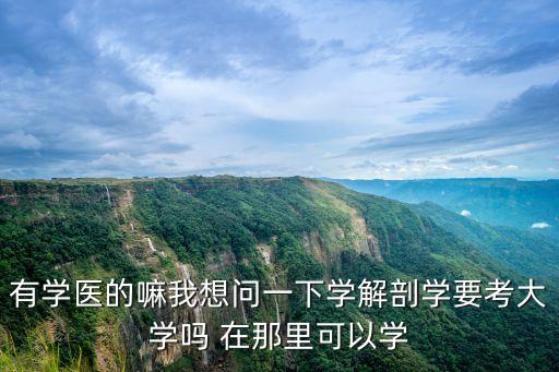 有學醫的嘛我想問一下學解剖學要考大學嗎 在那里可以學