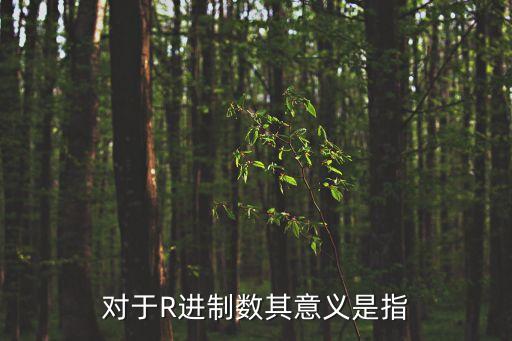 對于R進制數其意義是指