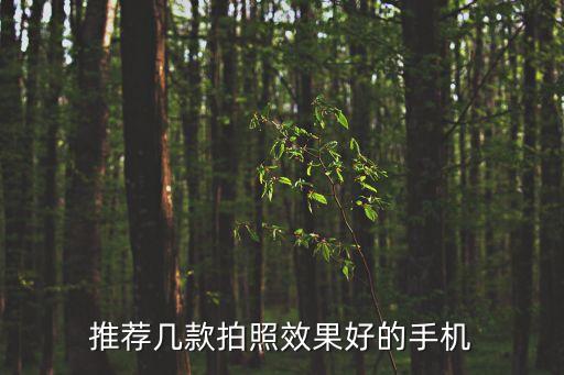 手機(jī)拍照排行榜，拍照手機(jī)排行
