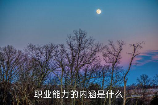職業能力是什么，職業能力能夠干什么