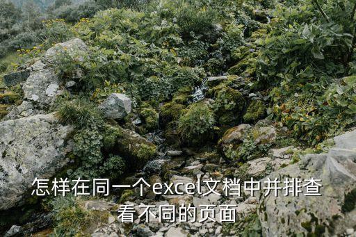 并排查看，怎樣在同一個(gè)excel文檔中并排查看不同的頁(yè)面