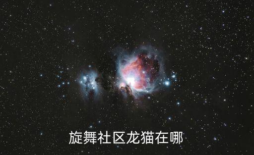 旋舞社區(qū)龍貓在哪