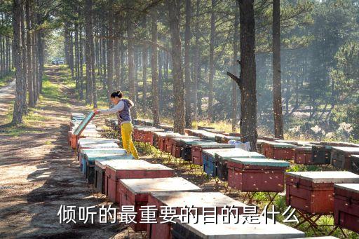 傾聽的力量，如何提高傾聽能力