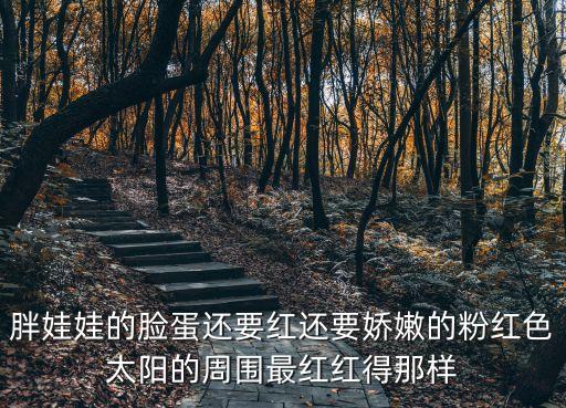 胖娃娃的臉蛋還要紅還要嬌嫩的粉紅色太陽的周圍最紅紅得那樣
