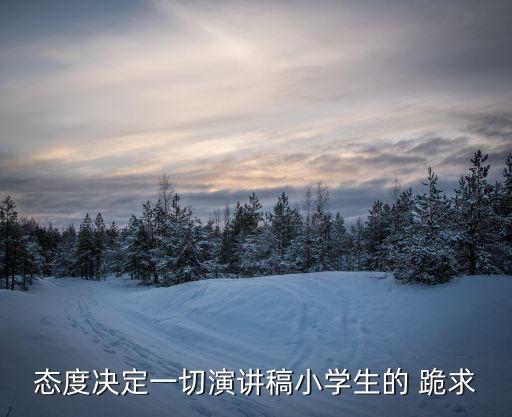 態(tài)度決定一切演講稿，求一篇關于工作態(tài)度決定事業(yè)成敗的演講稿35分鐘的