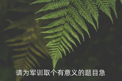 軍訓標題，軍訓十六字標語誰能幫忙想一個