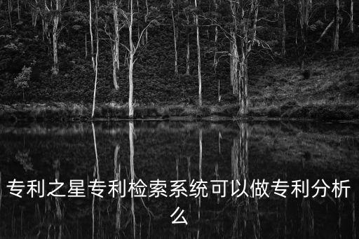 專利之星專利檢索系統可以做專利分析么