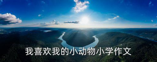 我喜歡我的小動物小學作文