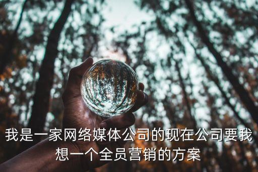 全員營銷方案，全員營銷方案怎么寫也就是說針對所有人群的那種求分享方案  搜