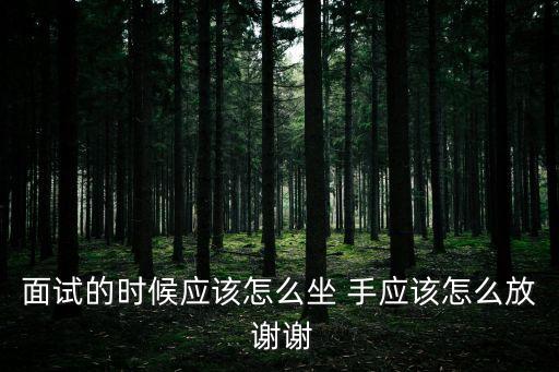 面試的時候應該怎么坐 手應該怎么放 謝謝