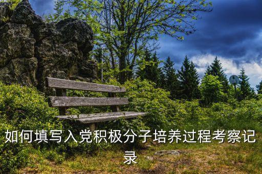 培養人考察記錄，對入黨積極份子的考察報告