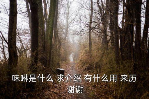 味霖，味噌和味霖一樣嗎
