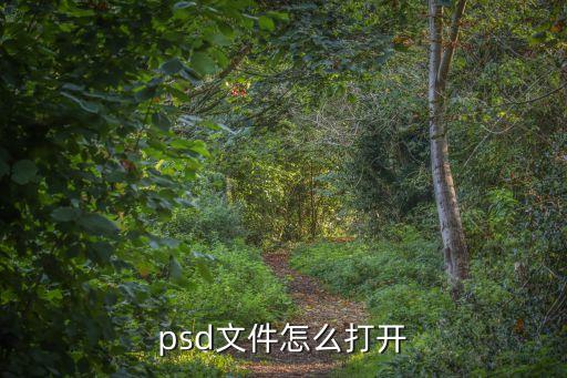 psd文件怎么打開，psd文件怎么打開
