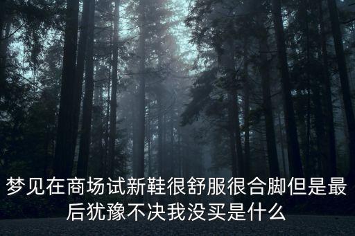 夢見在商場試新鞋很舒服很合腳但是最后猶豫不決我沒買是什么