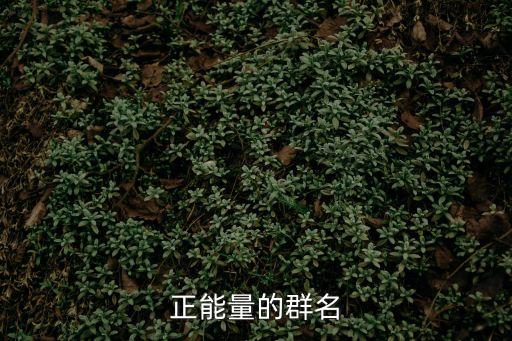 正能量的群名
