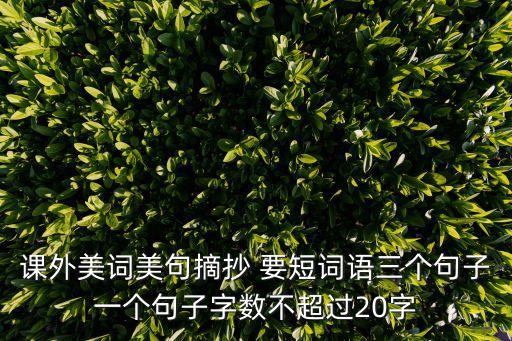 好句摘抄短一點，課外美詞美句摘抄 要短詞語三個句子一個句子字數不超過20字